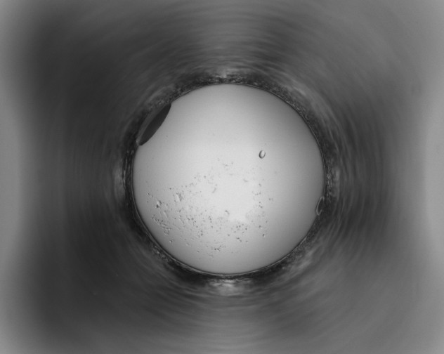 X0000096150558200802151356