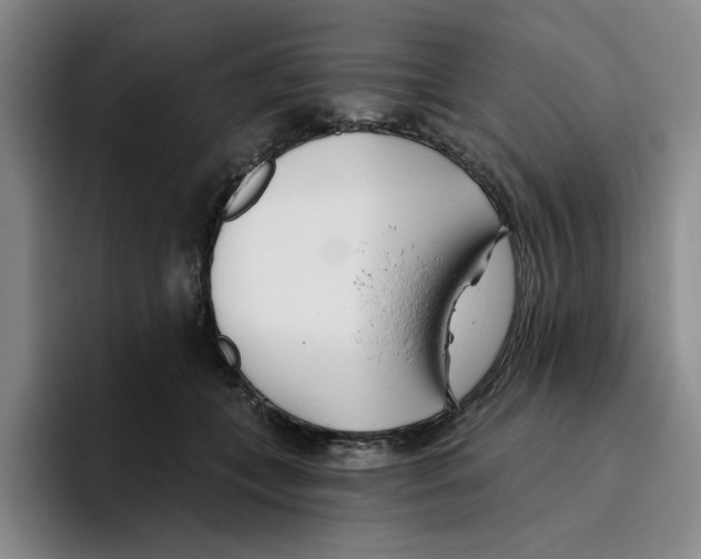 X0000096150559200802151356