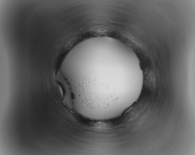 X0000096150562200802151357