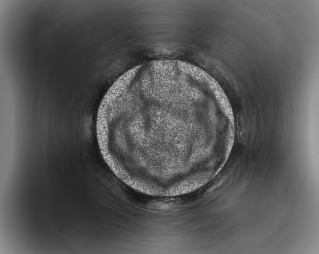 X0000096150563200802151357