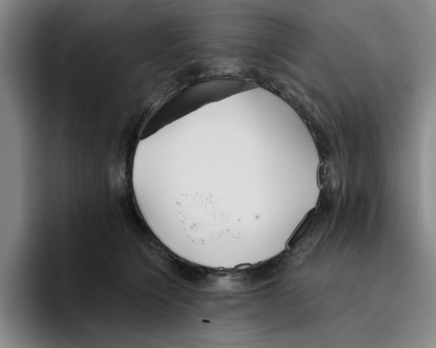 X0000096150564200802151357