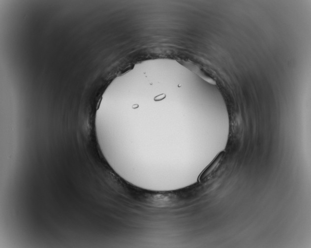 X0000096150566200802151357