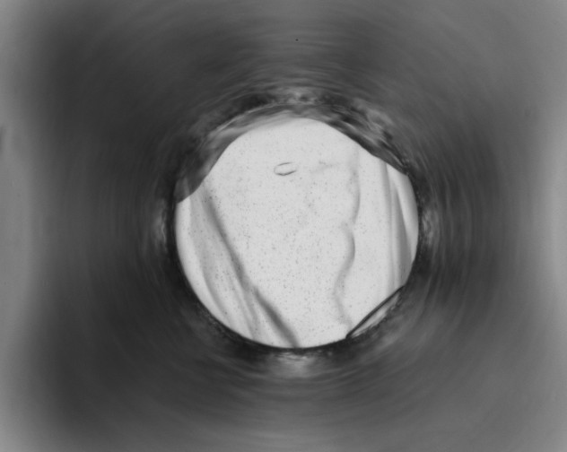 X0000096150570200802151357