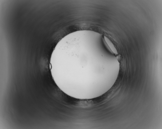 X0000096150571200802151357