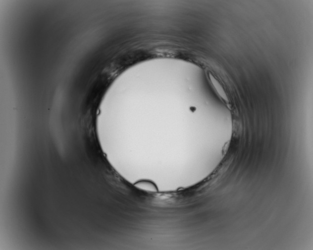 X0000096150573200802151357