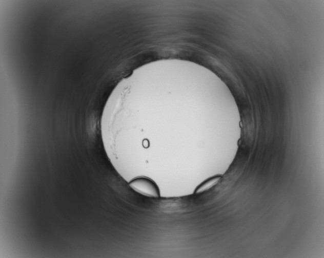 X0000096150574200802151357