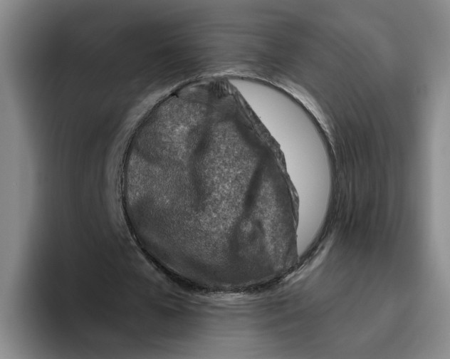 X0000096150577200802151356