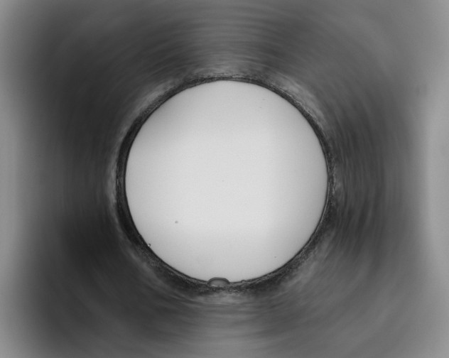 X0000096150578200802151356