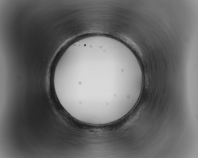 X0000096150580200802151356