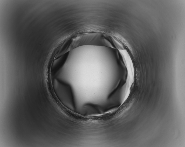 X0000096150581200802151356