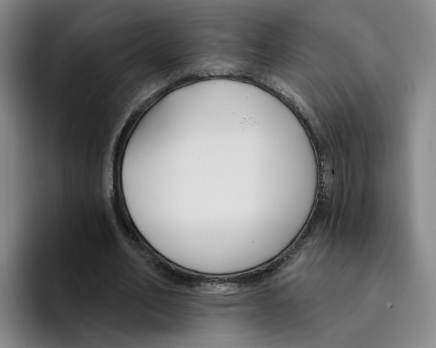 X0000096150582200802151356