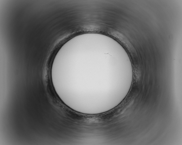 X0000096150583200802151356