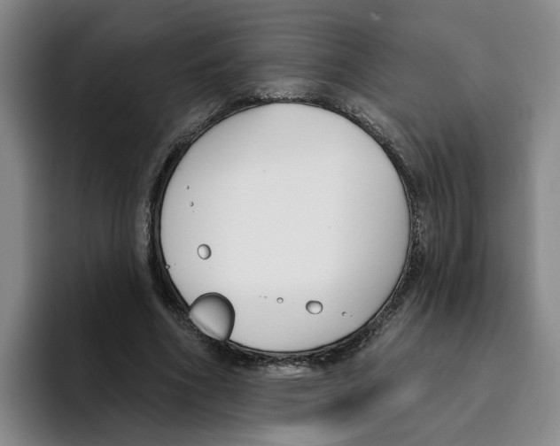 X0000096150586200802151356