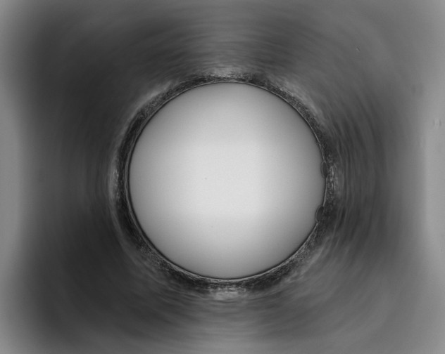 X0000096150587200802151356