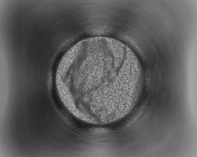 X0000096150590200802151356