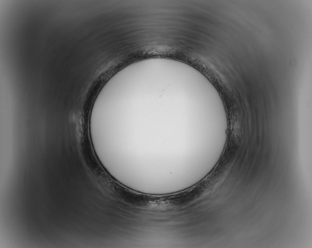 X0000096150591200802151356