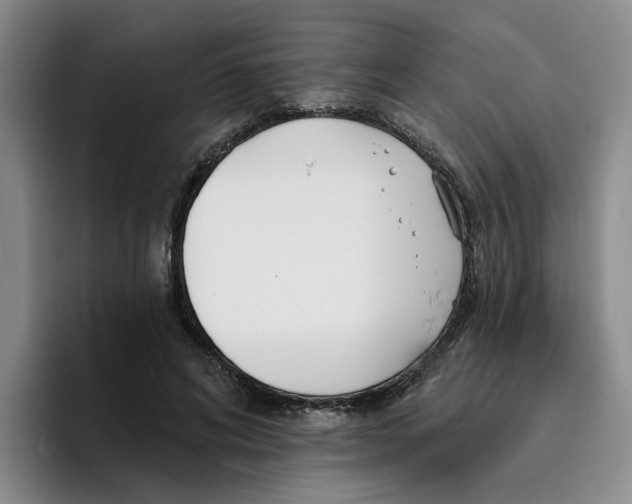 X0000096150592200802151356