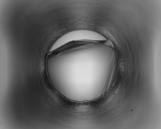 X0000096150593200802151356