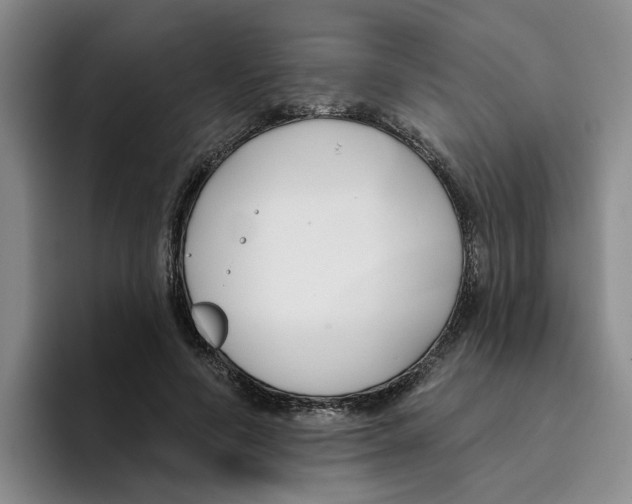 X0000096150594200802151356