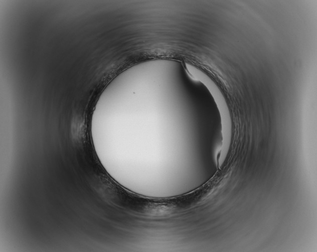 X0000096150597200802151356