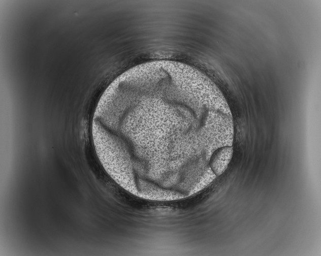 X0000096150598200802151356