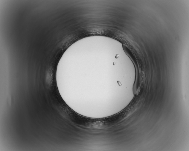 X0000096150600200802151356