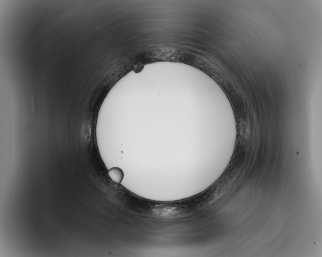 X0000096150602200802151356