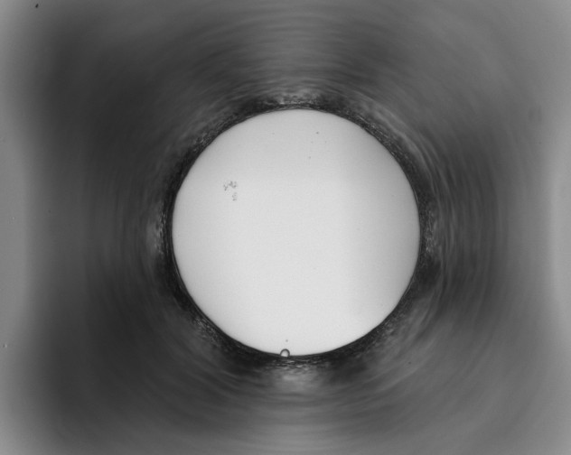 X0000096150604200802151356