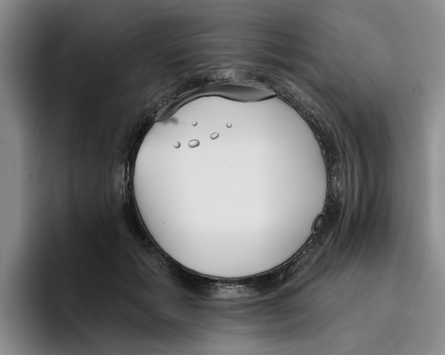 X0000096150605200802151356