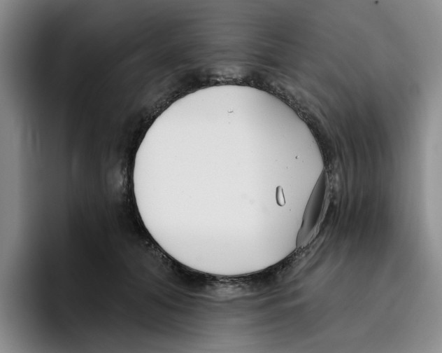 X0000096150608200802151356