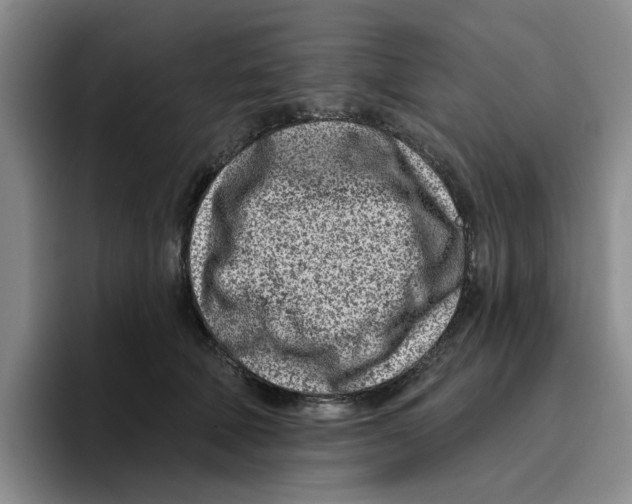 X0000096150610200802151356