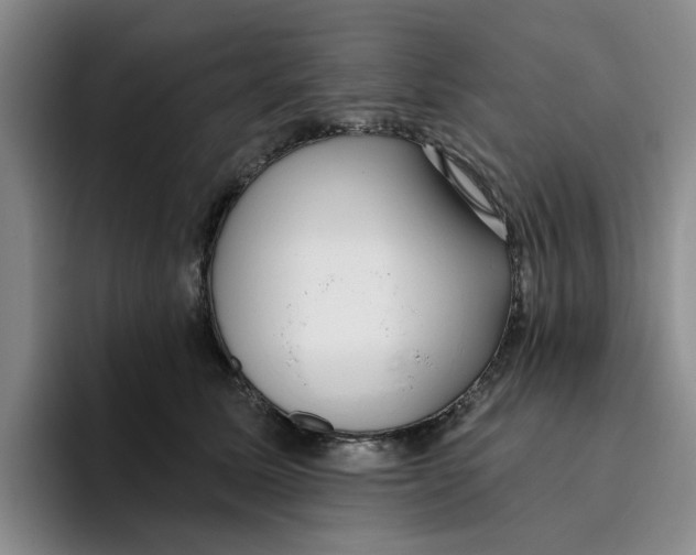 X0000096150611200802151356