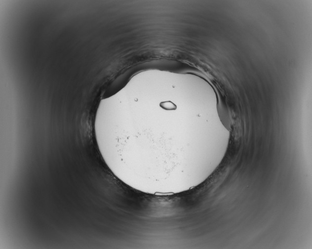 X0000096150613200802151356