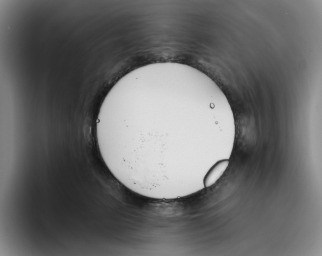 X0000096150615200802151356