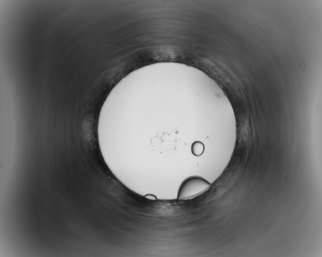 X0000096150616200802151356