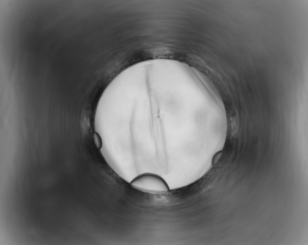 X0000096150618200802151356