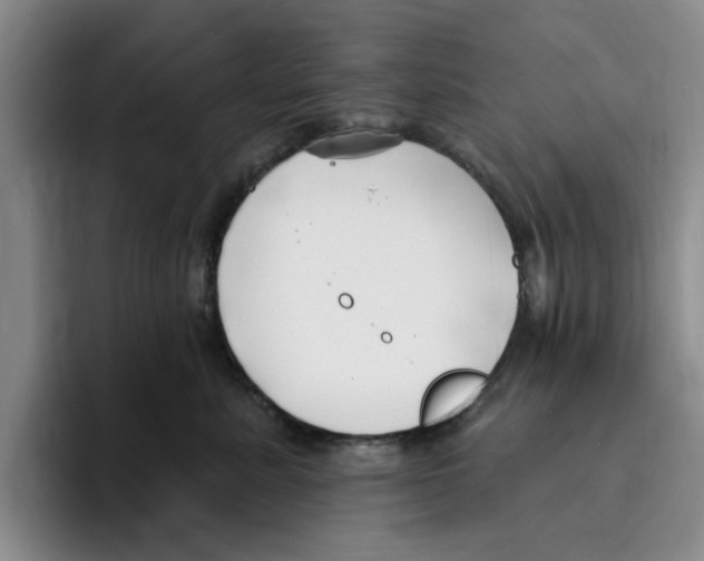 X0000096150619200802151356