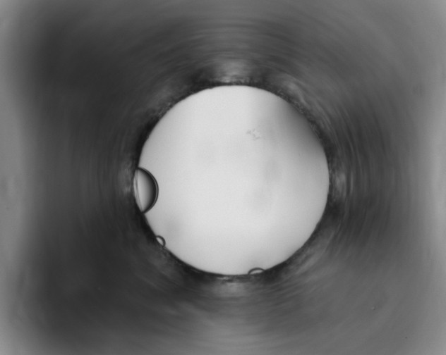 X0000096150620200802151356