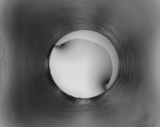 X0000096150621200802151356