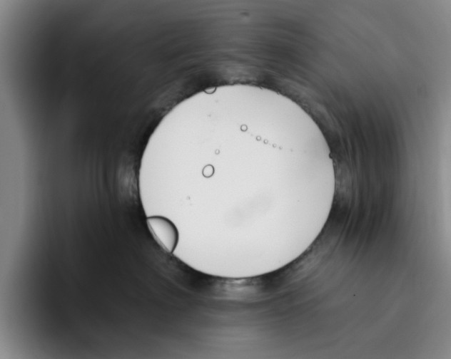 X0000096150622200802151356