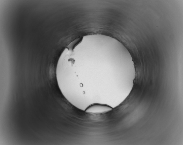 X0000096150623200802151355