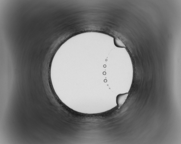 X0000096150625200802151355