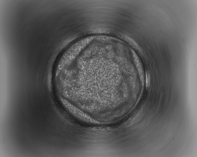 X0000096150627200802151355