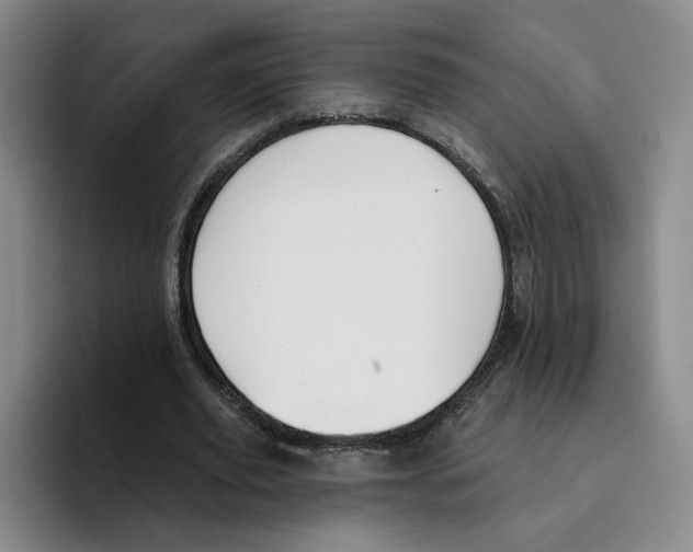 X0000096150629200802151355