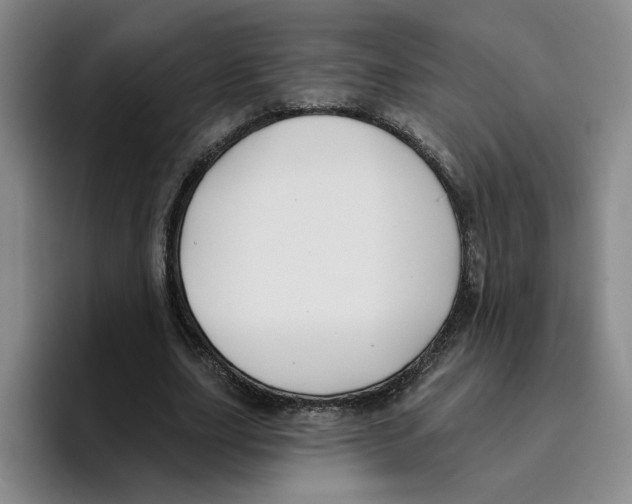 X0000096150631200802151355