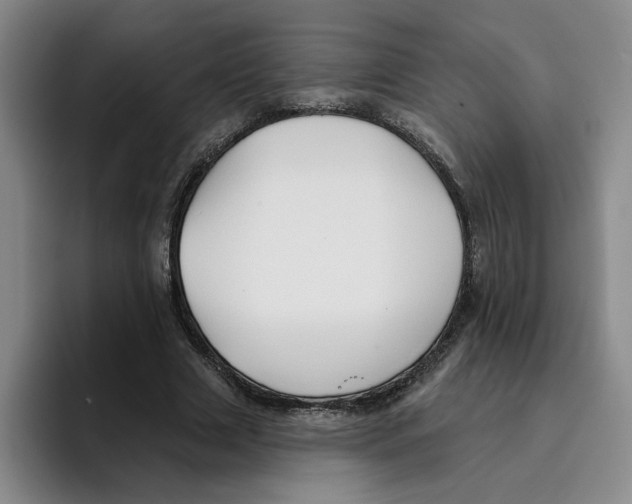 X0000096150633200802151355