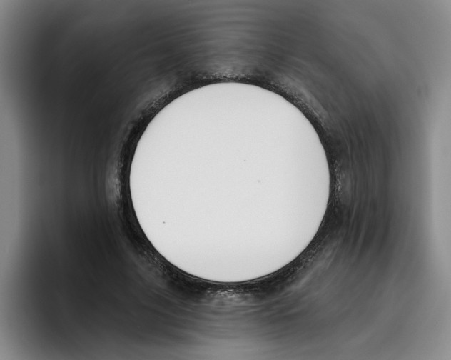 X0000096150635200802151355