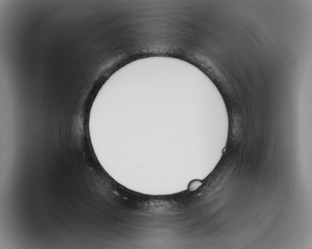 X0000096150636200802151355