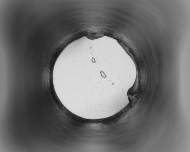 X0000096150637200802151355