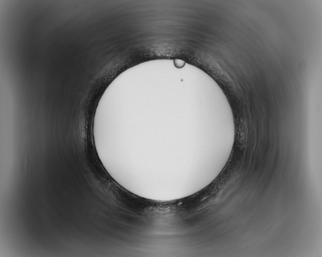 X0000096150639200802151355